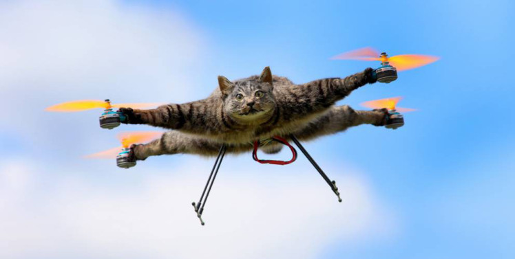 Dall'Olanda col DroneCat